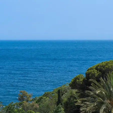 Proche Monaco, Vue Et Acces A La